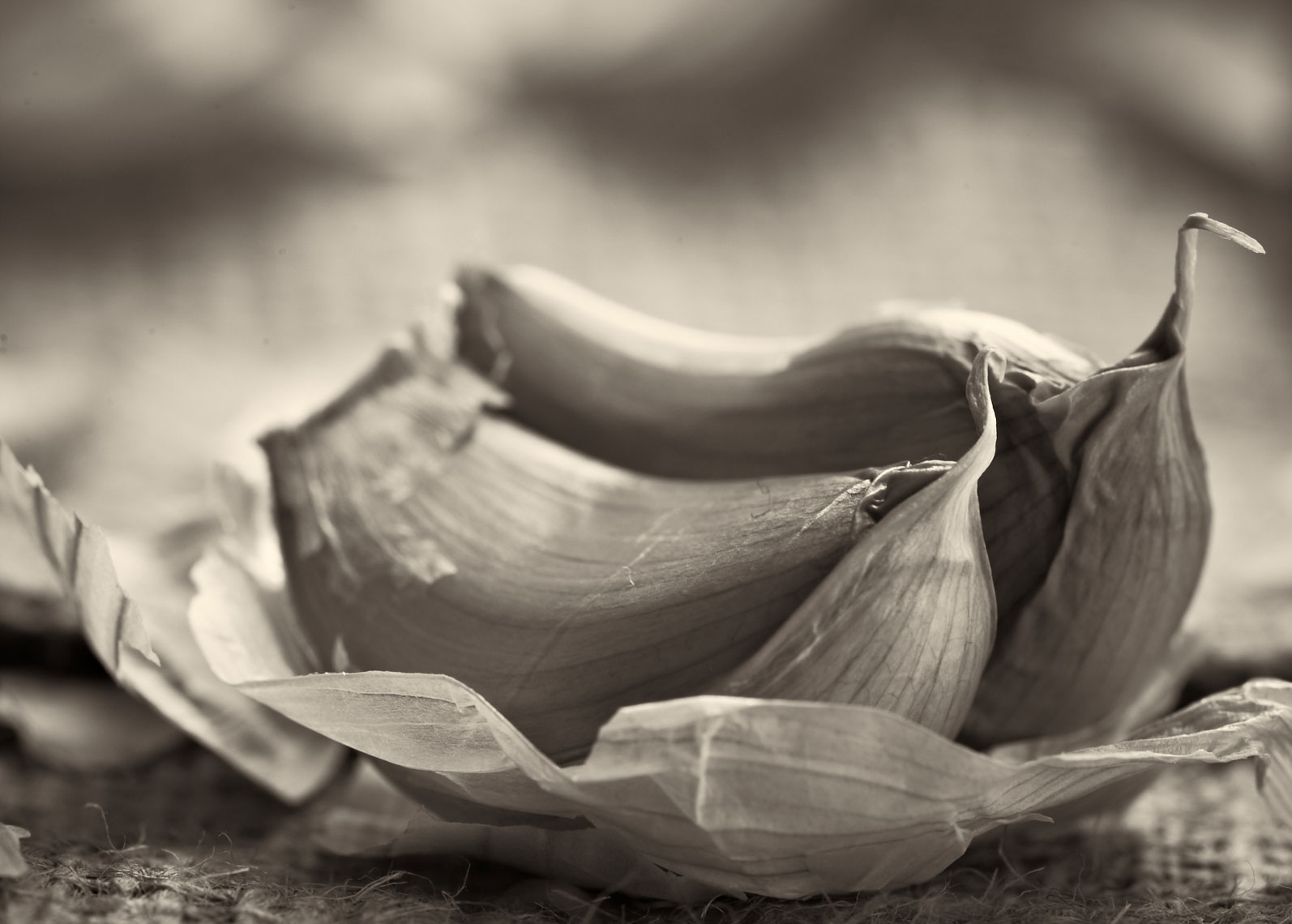 Garlic, Cloves
