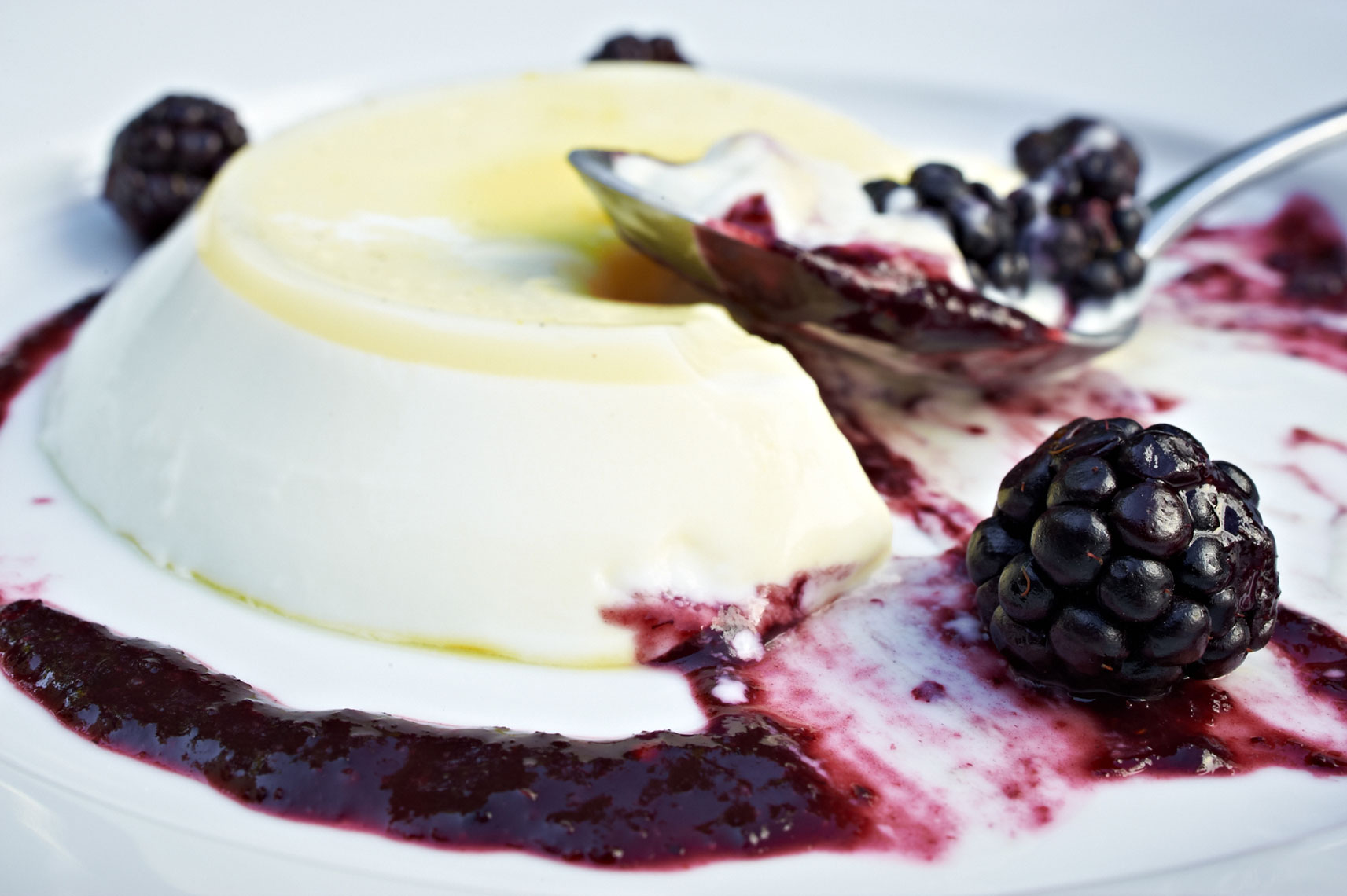 Ragazza, Lemon Blackberry Panna Cotta