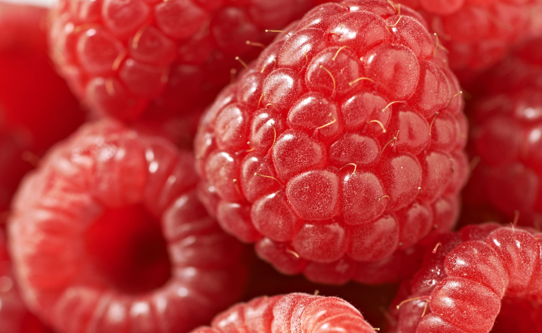 Rasberries, detail, close up