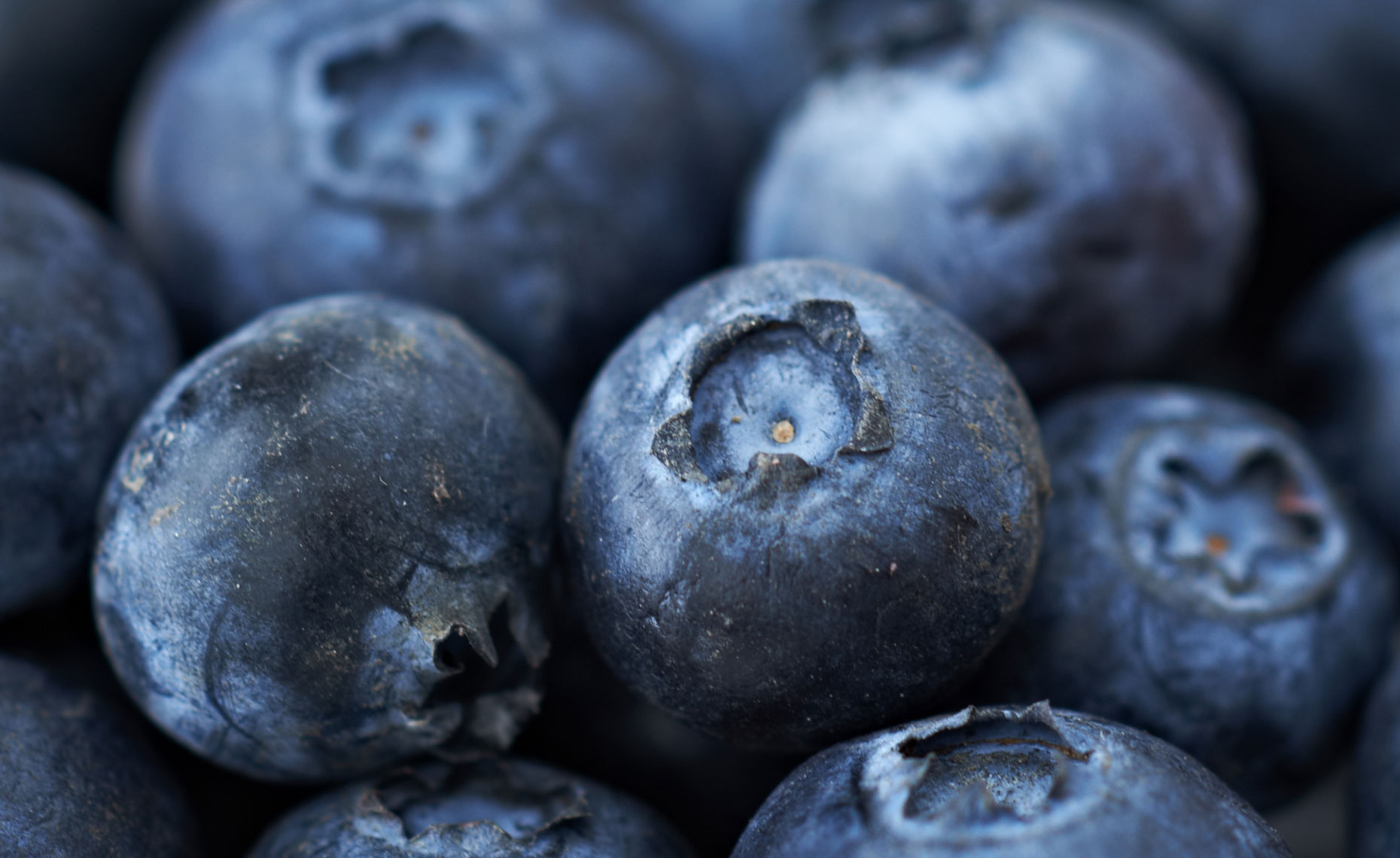 Blueberries, detail, close up