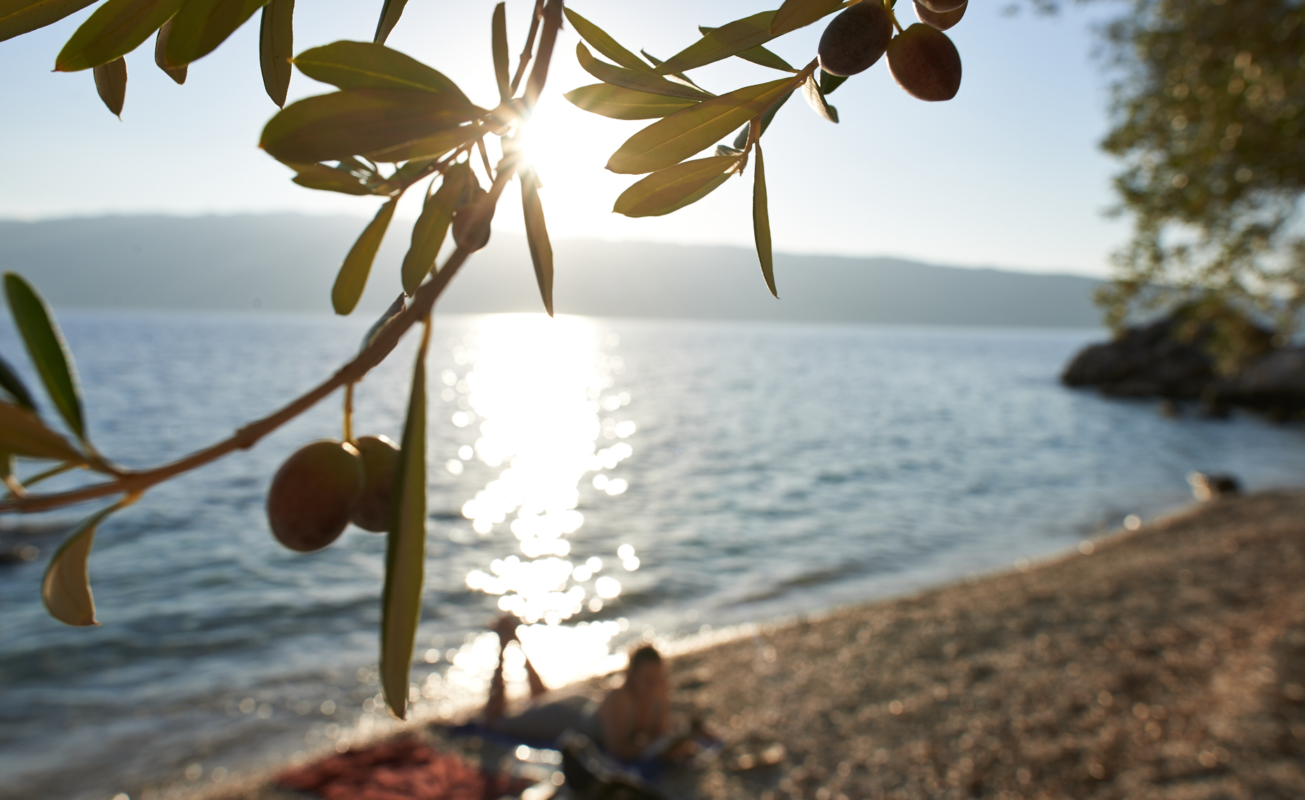 Olive Tree Beach, Greece