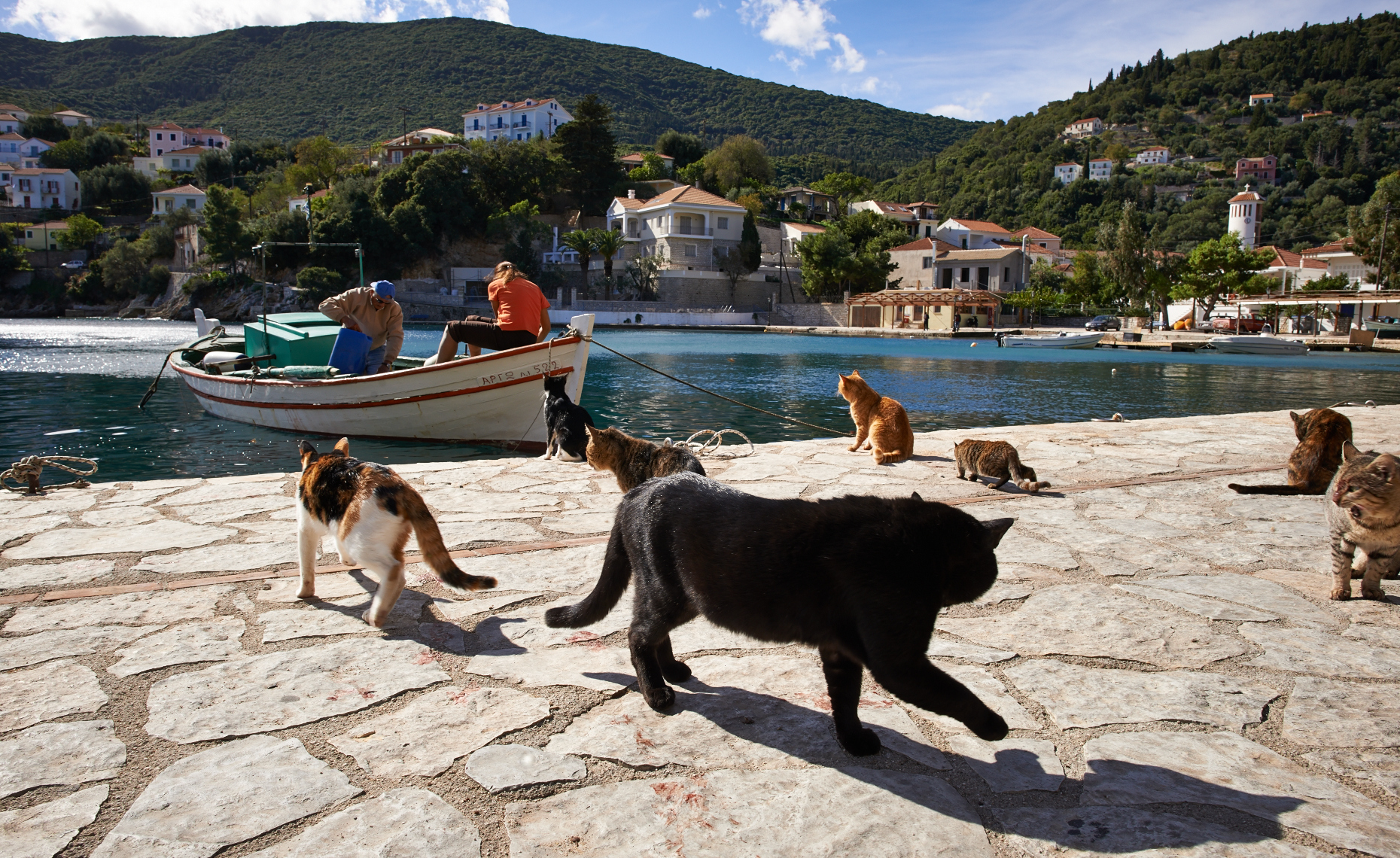 Cats & Fishermen, Greece